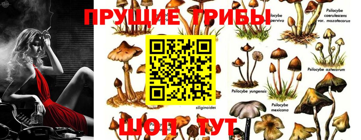 Галлюциногенные грибы MAGIC MUSHROOMS Самара